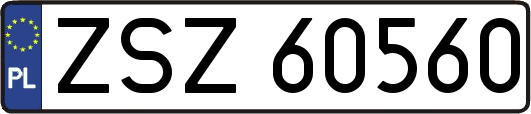ZSZ60560