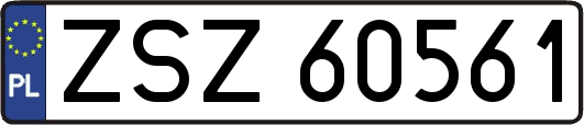 ZSZ60561