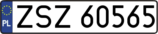 ZSZ60565