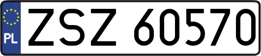 ZSZ60570
