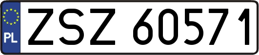ZSZ60571