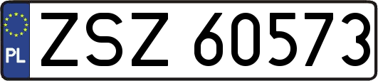 ZSZ60573