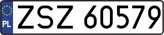 ZSZ60579