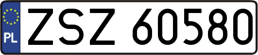 ZSZ60580