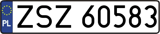 ZSZ60583