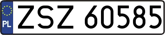 ZSZ60585
