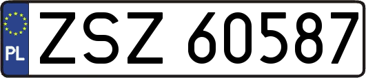ZSZ60587