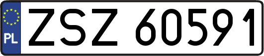 ZSZ60591