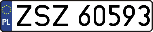 ZSZ60593