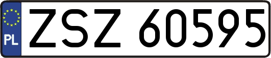 ZSZ60595