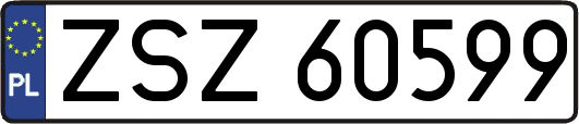 ZSZ60599