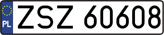 ZSZ60608