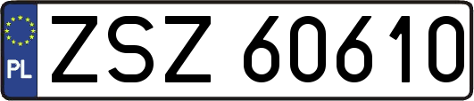 ZSZ60610