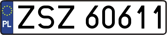 ZSZ60611
