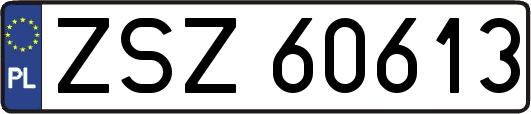 ZSZ60613