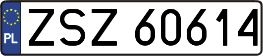 ZSZ60614