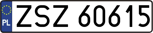 ZSZ60615
