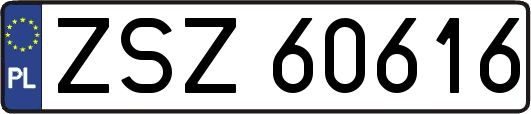 ZSZ60616