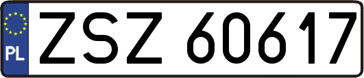 ZSZ60617