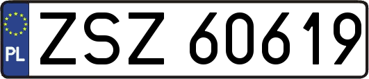 ZSZ60619
