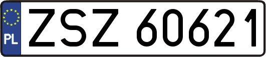 ZSZ60621