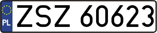 ZSZ60623