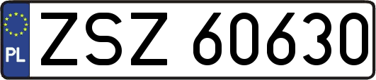 ZSZ60630