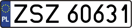 ZSZ60631