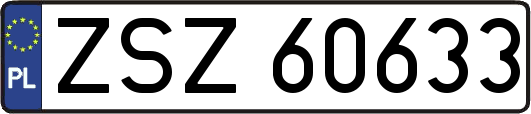 ZSZ60633