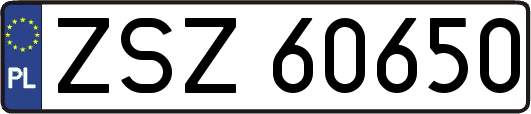 ZSZ60650