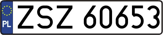 ZSZ60653