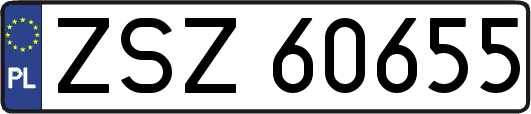 ZSZ60655
