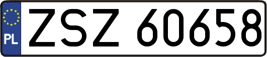 ZSZ60658