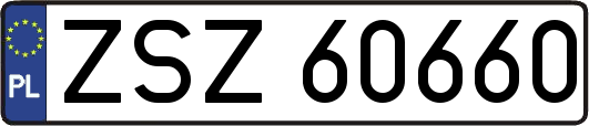 ZSZ60660