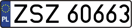 ZSZ60663