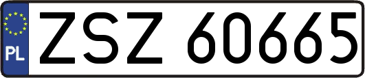 ZSZ60665
