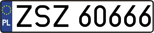 ZSZ60666