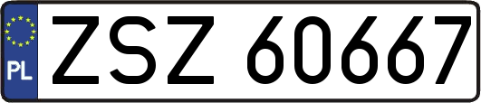 ZSZ60667