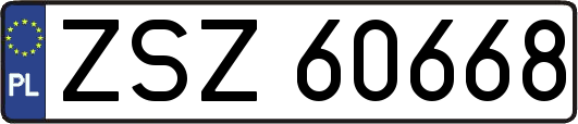 ZSZ60668