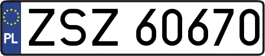 ZSZ60670