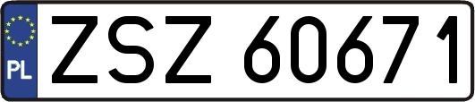 ZSZ60671