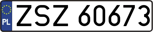 ZSZ60673