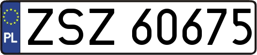 ZSZ60675
