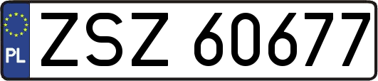 ZSZ60677