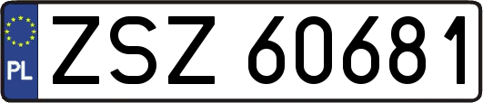 ZSZ60681