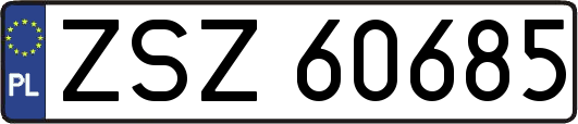 ZSZ60685