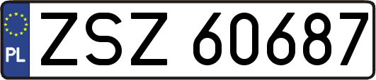ZSZ60687