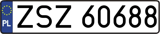 ZSZ60688