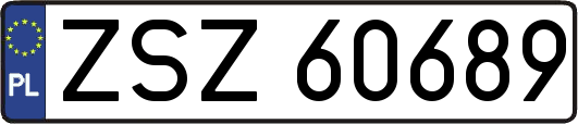 ZSZ60689