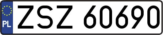 ZSZ60690